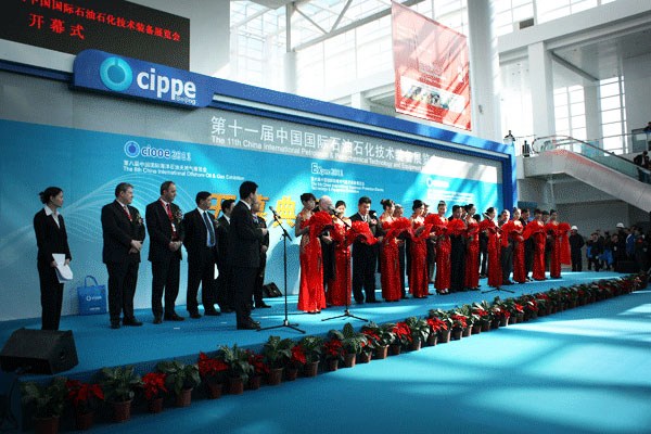 cippe2011ʯչ_Ļʽ
